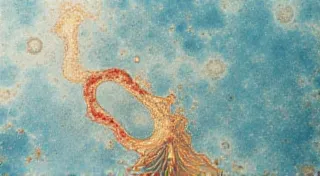 Marbling Paper with Household Items: A Budget-Friendly Guide